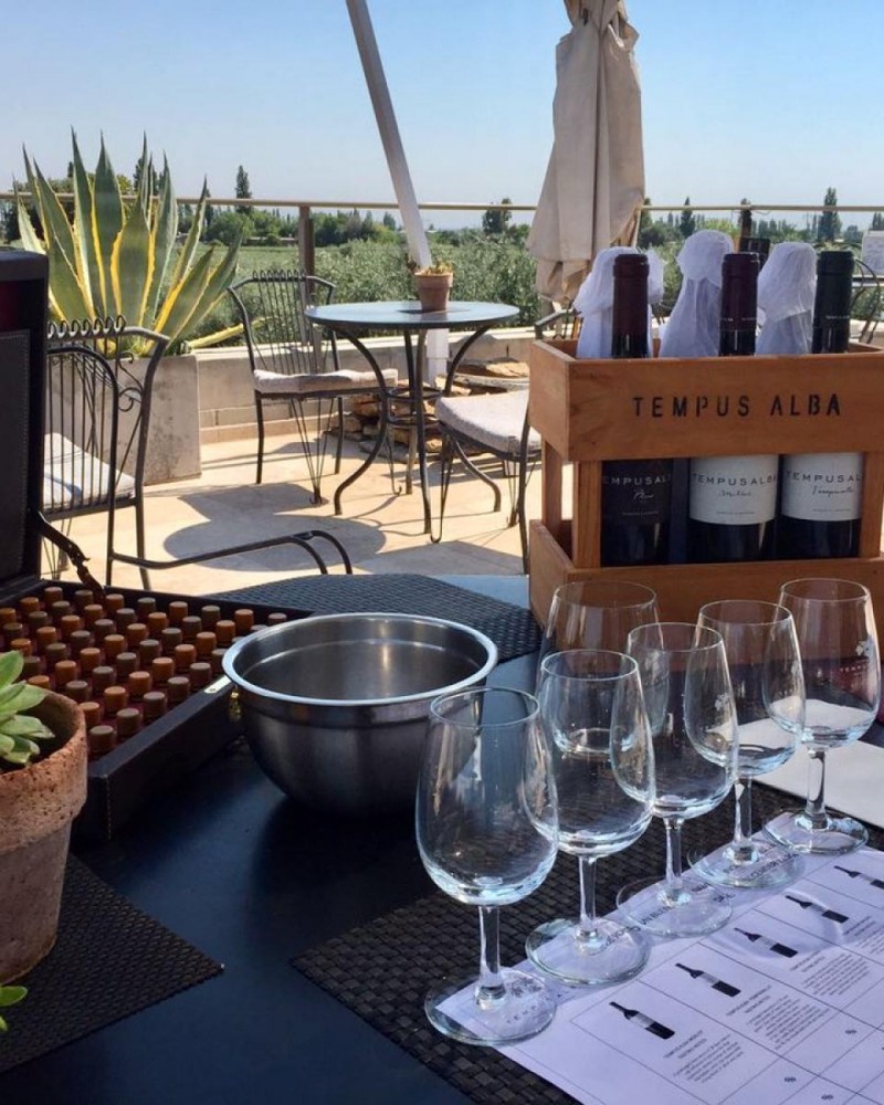 Enólogo por um día