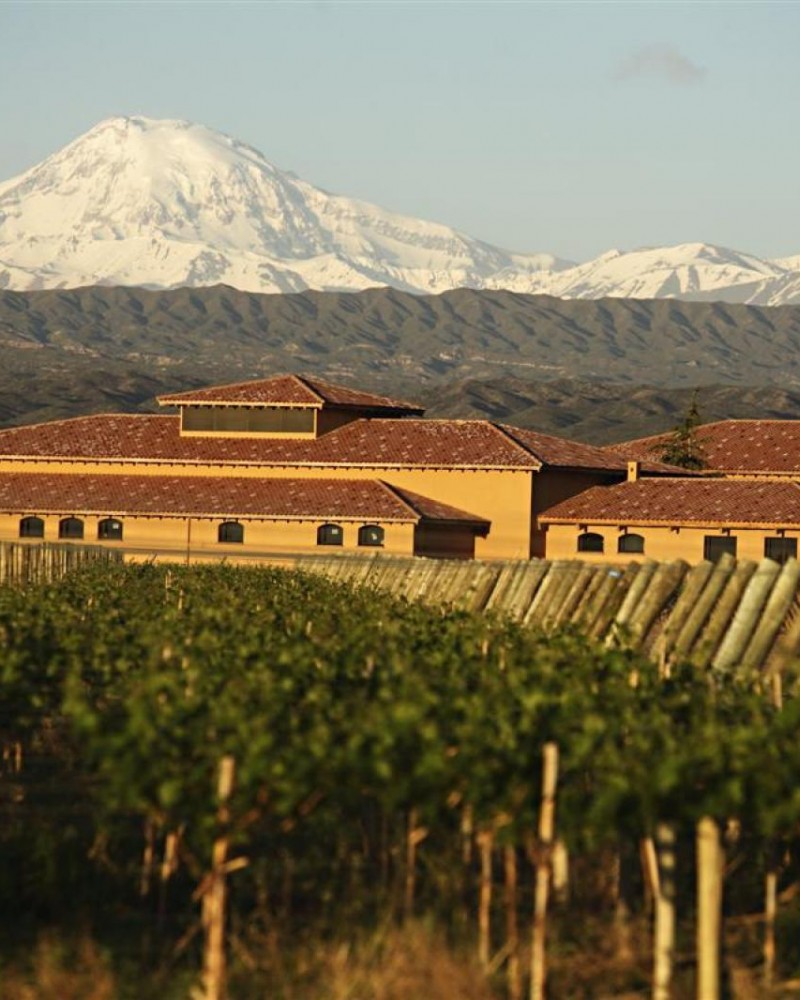 Luján de Cuyo Premium