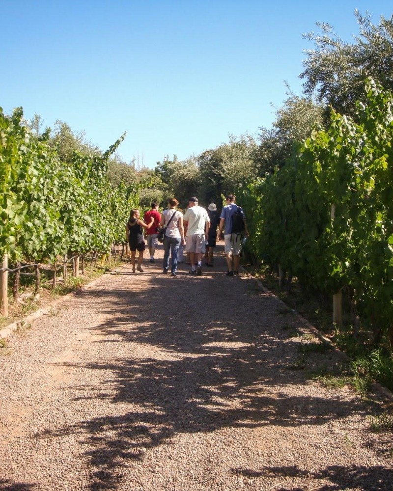 Maipú & Luján: legado familiar