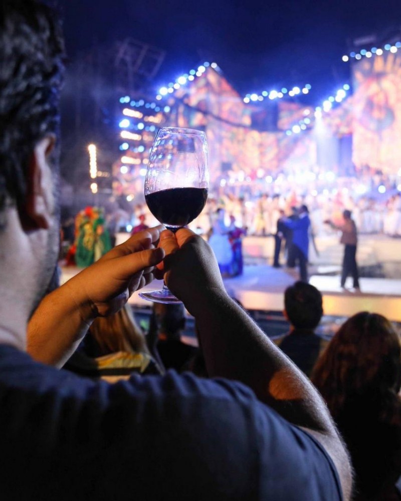 Vindima 2022 em Mendoza