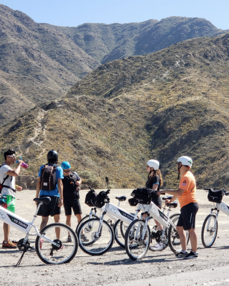 E-bike Potrerillos