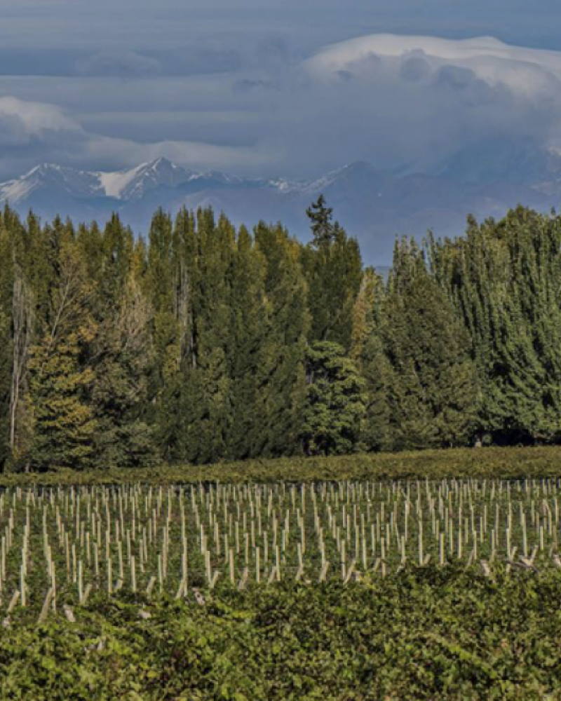 Estância Família Rosso