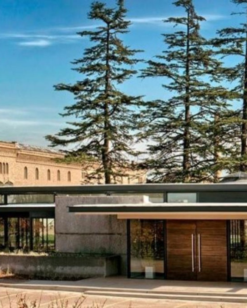 City Tour e Vinícola