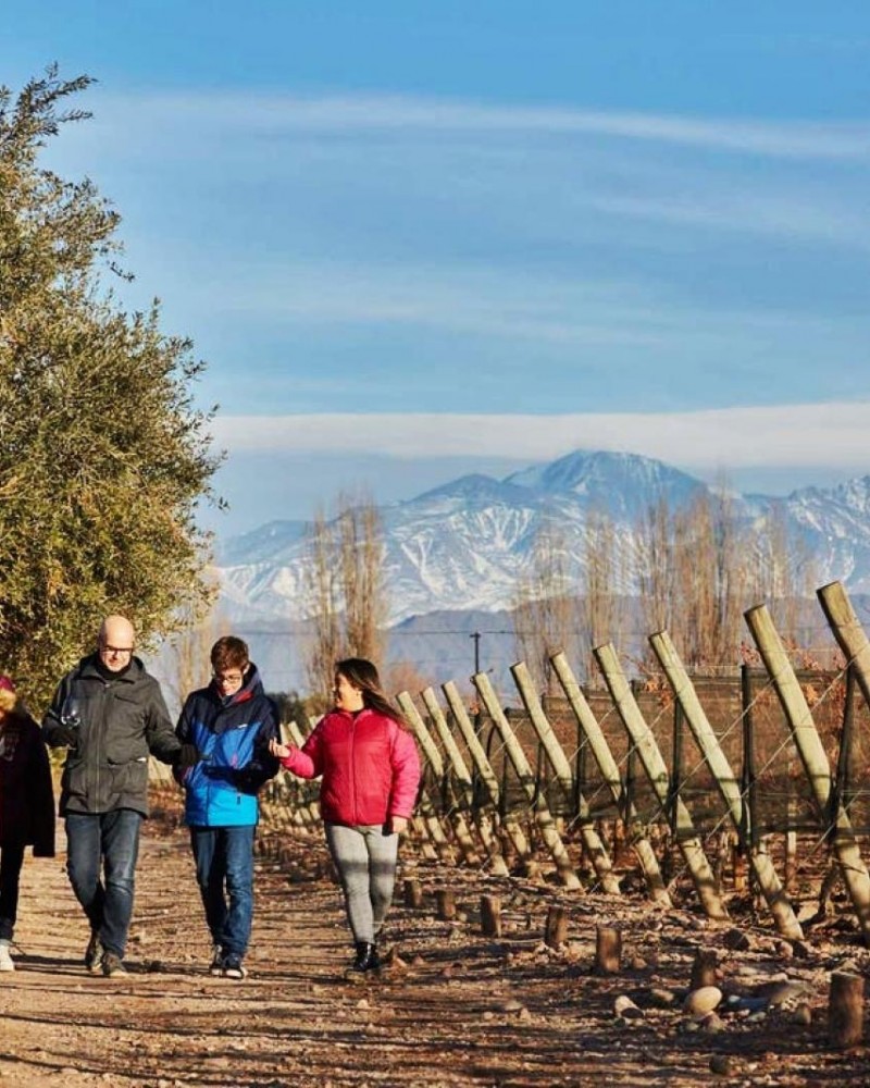 Brincando em Familia