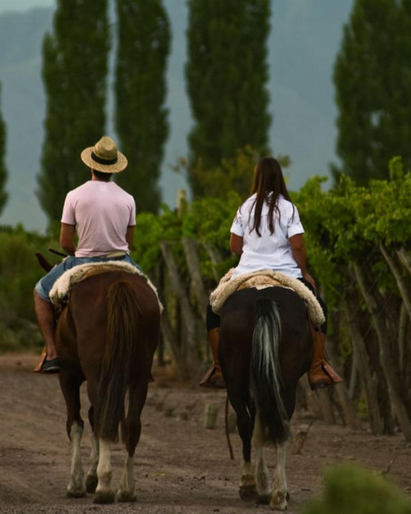 Cavalgada Pôr-do-Sol