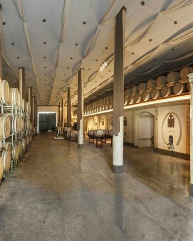 Azeite, Queijo & Vinhos