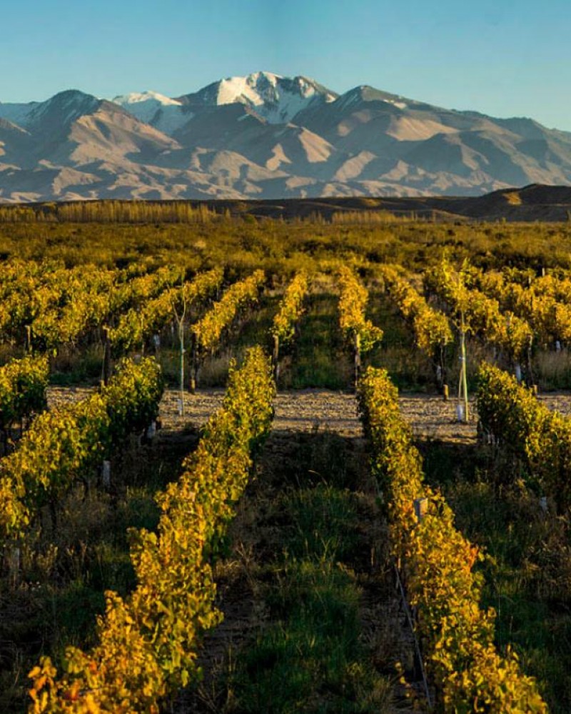 Estância Família Rosso