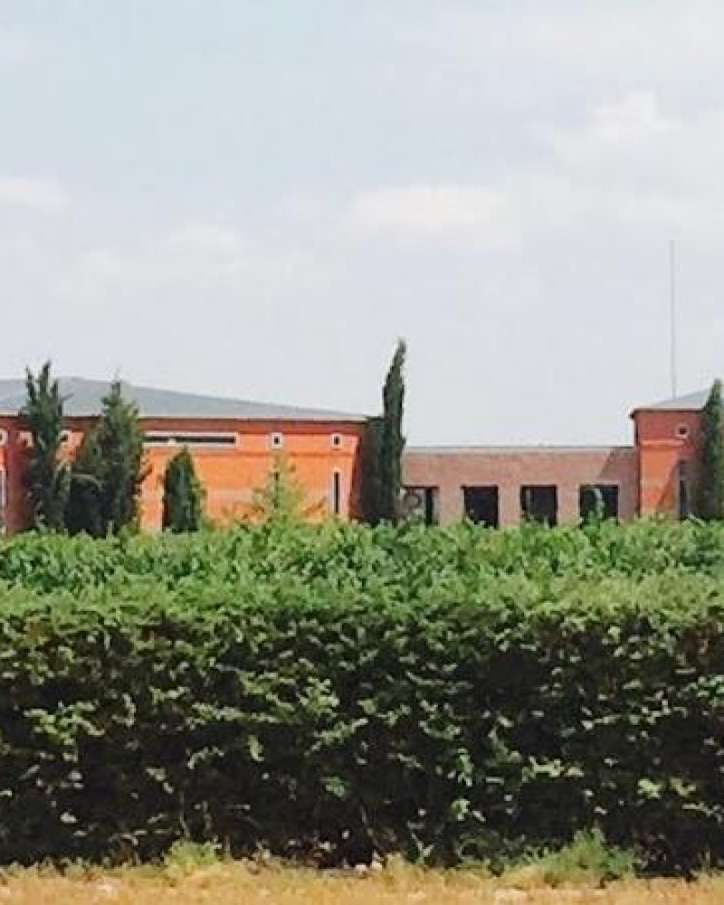 Chandon, Ruca Malén + Olivícola