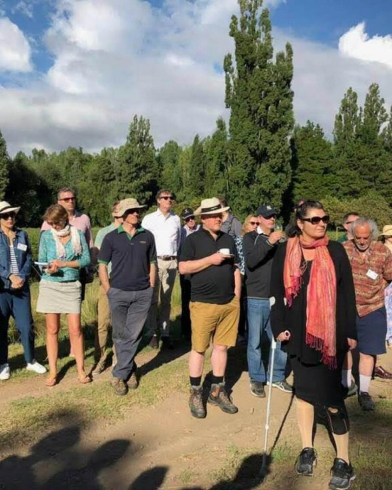 Do vinhedo à garrafa