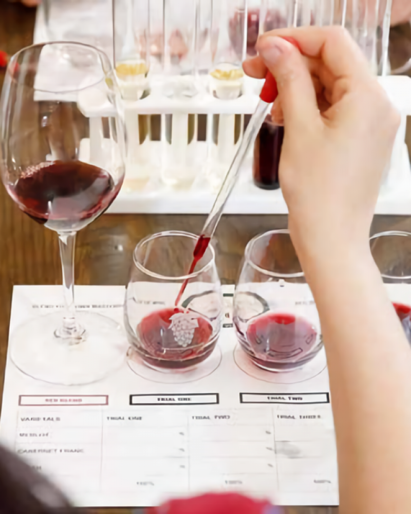 Do vinhedo à garrafa