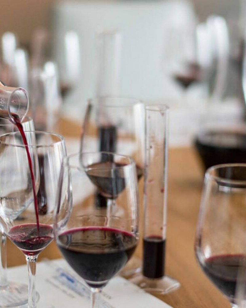 Do vinhedo à garrafa