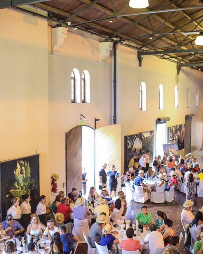 Desafio de vinho e comida com o Chef Lucas Bustos