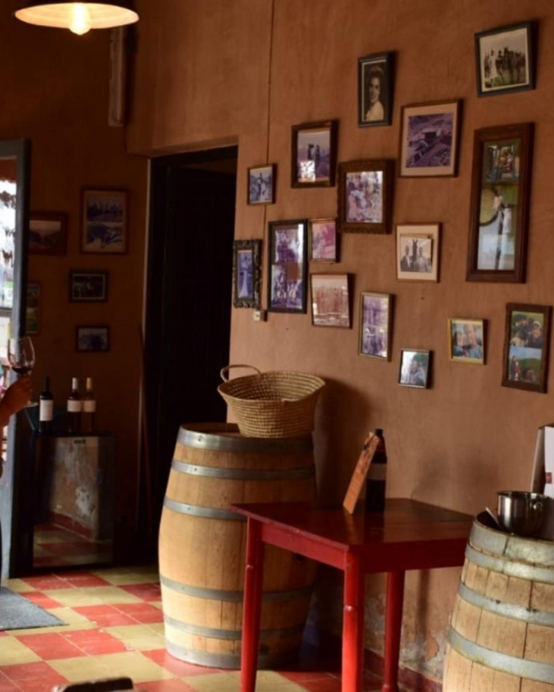 Brincando em Familia