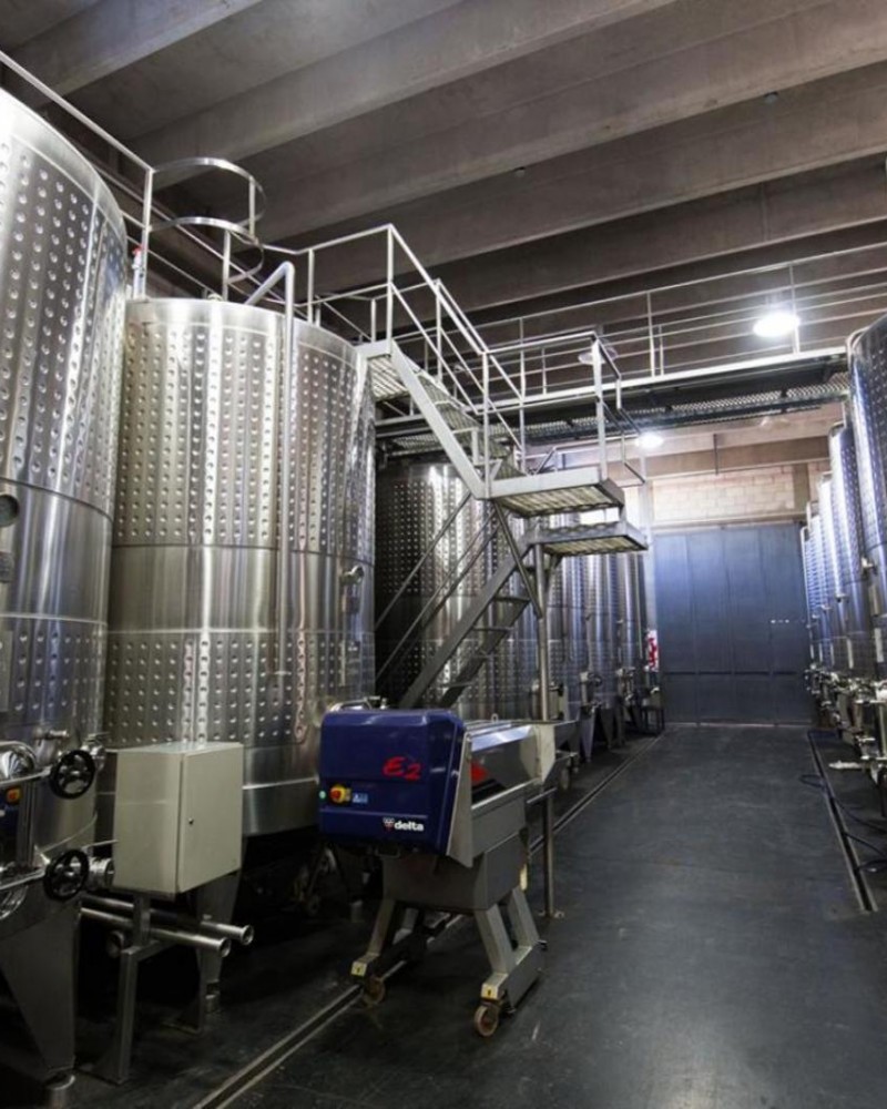 Mendoza para Enófilos