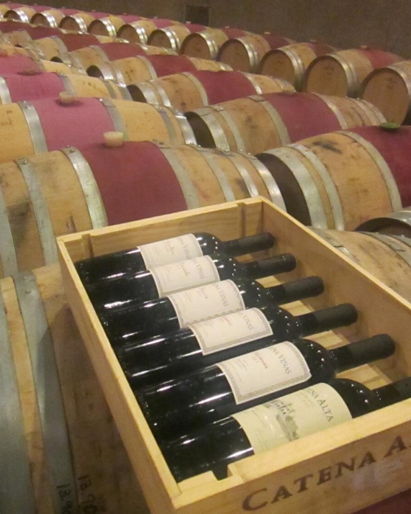 Tempus e Catena Zapata