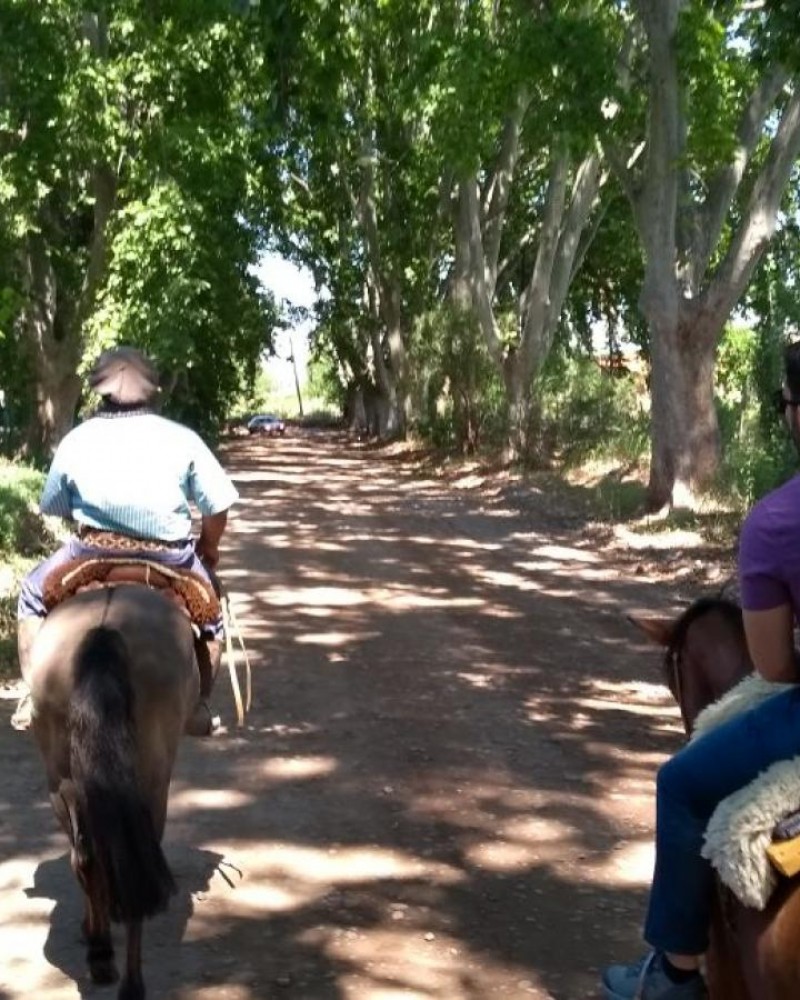Cavalgando por Vinícolas