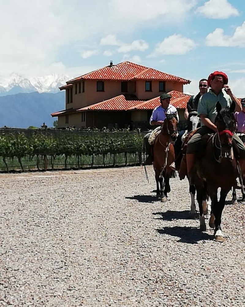 Cavalgando por Vinícolas