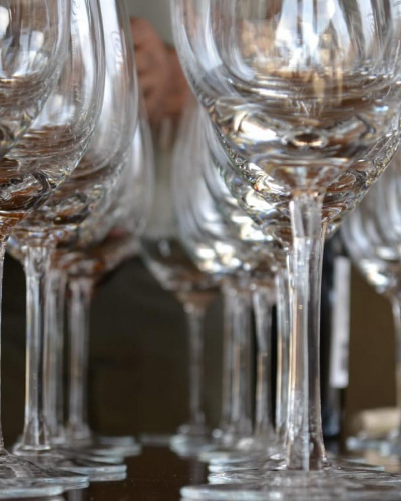 Cavalgando por Vinícolas