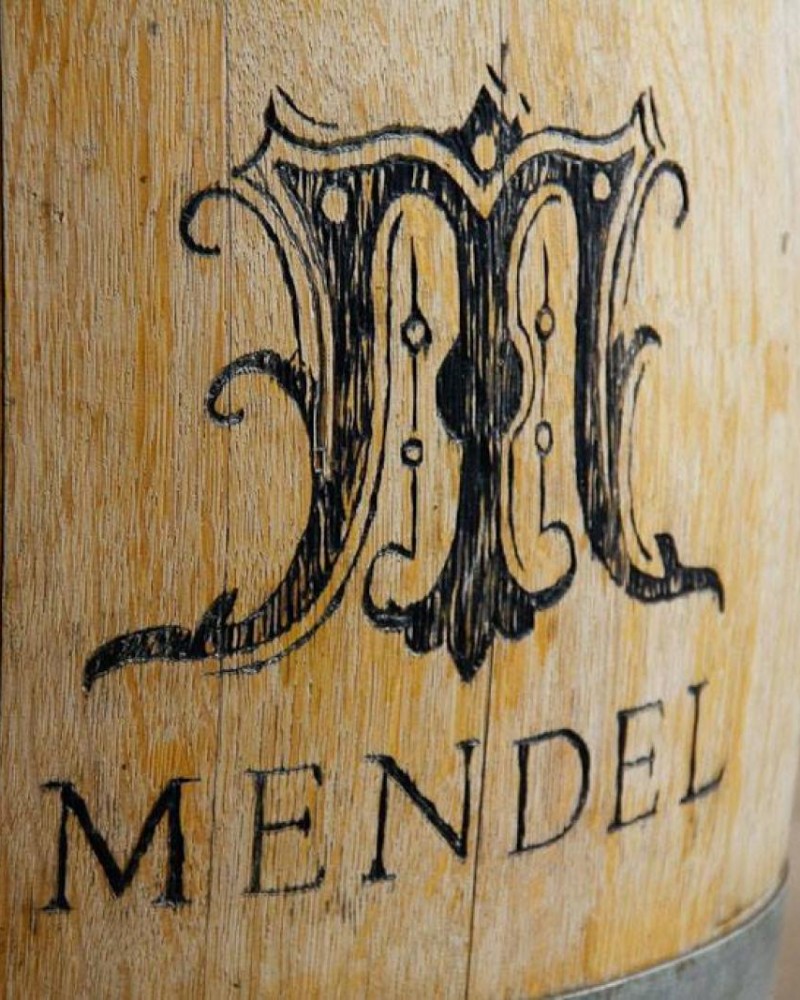 Cavalgando por Vinícolas