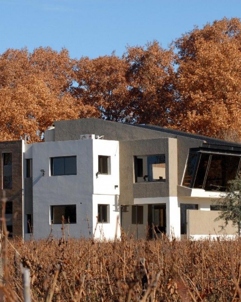 Cavalgando por Vinícolas