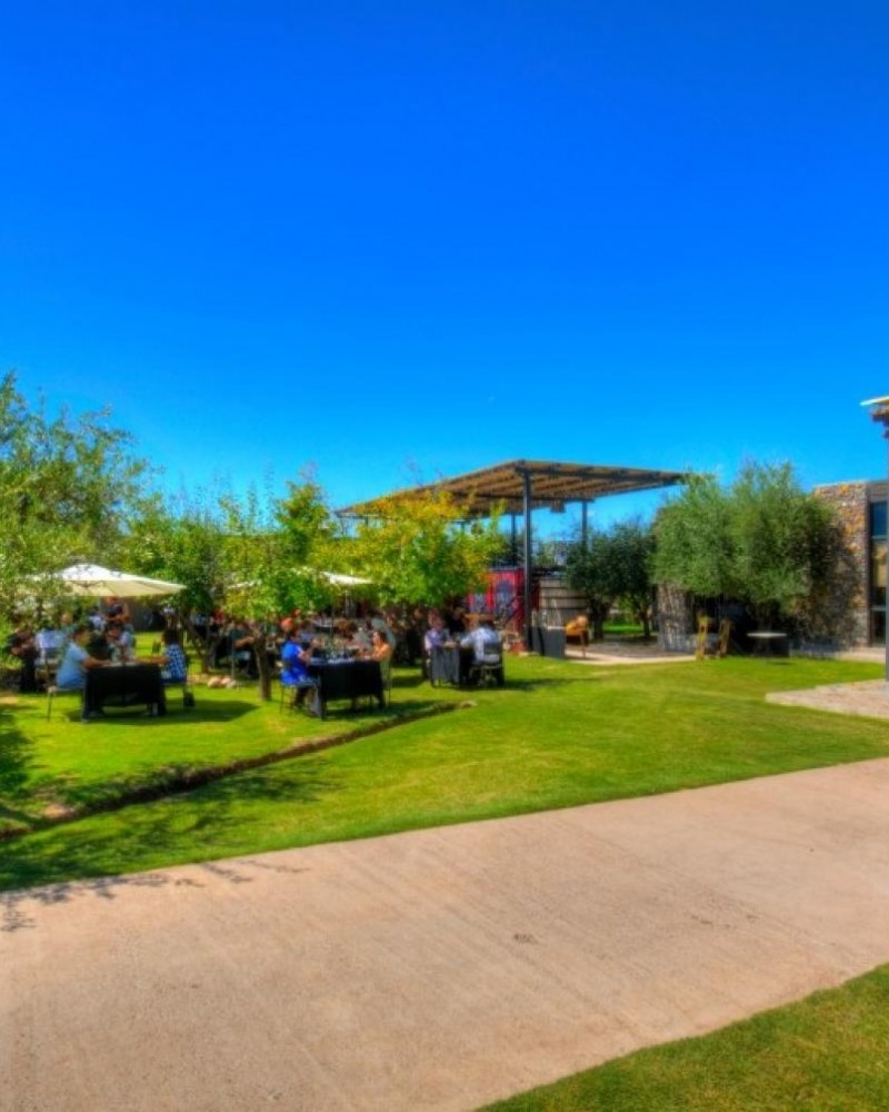 Mendoza Paisagens e Vinhos