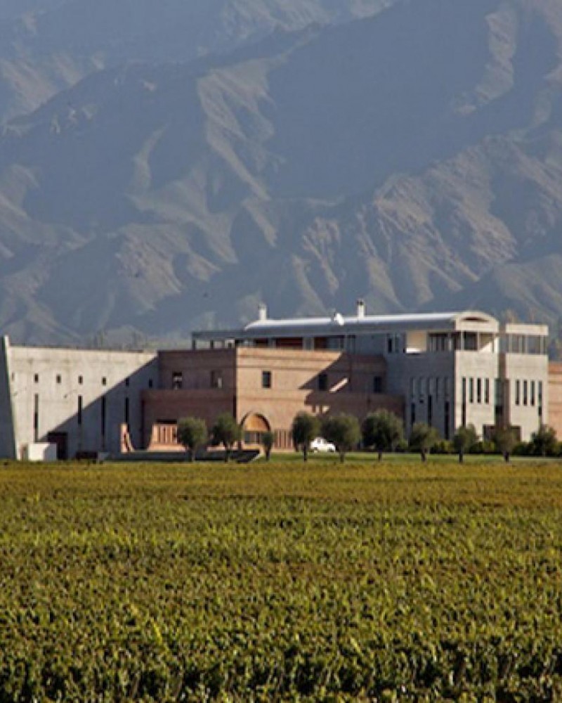 Mendoza Paisagens e Vinhos