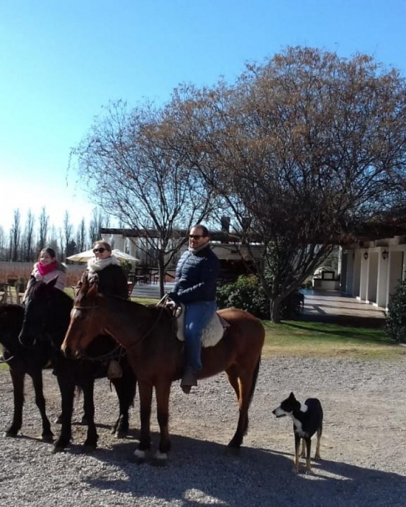 Mendoza Vinhos e Aventura