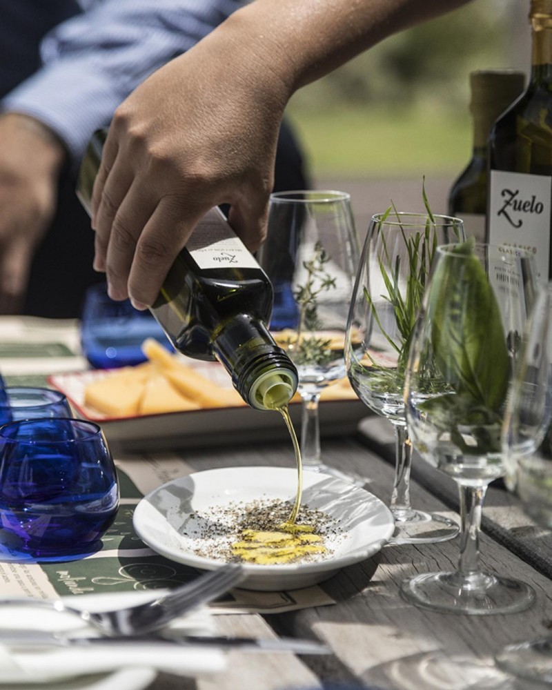 Mendoza Vinhos e Cordilheira