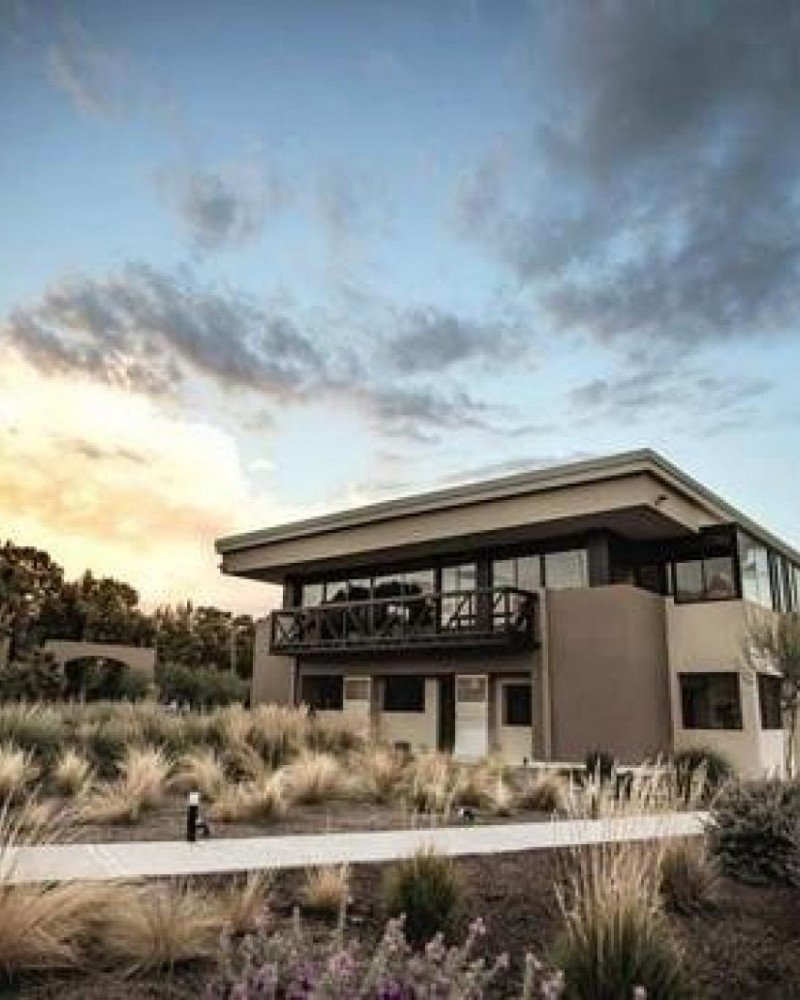 Mendoza Vinhos e Cordilheira