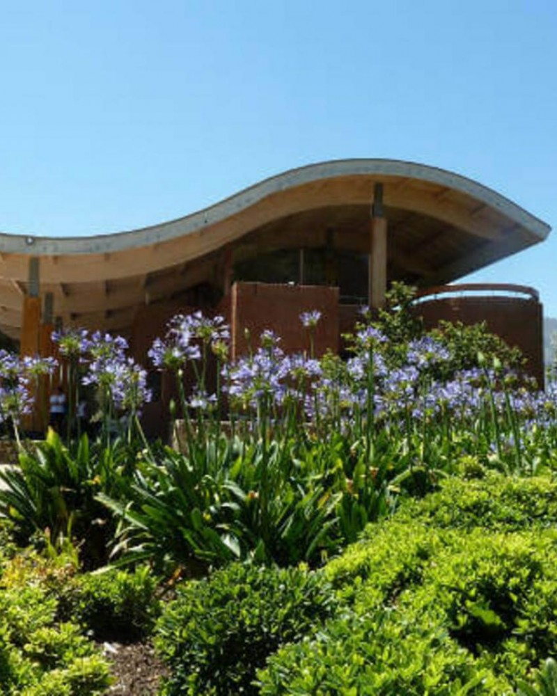 Vinícolas Emiliana & Casas del Bosque