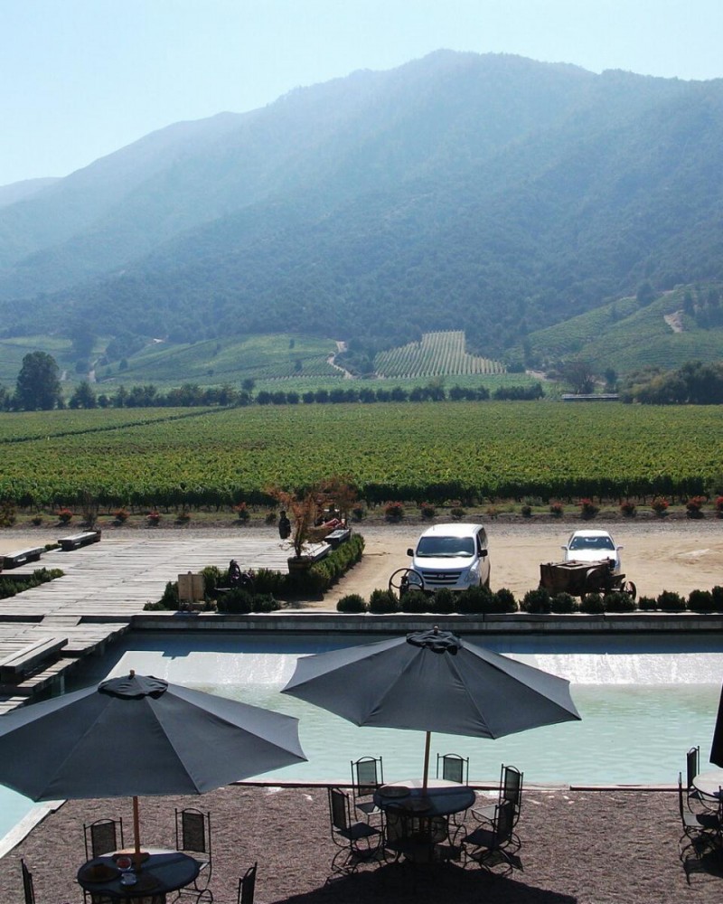 Vinícolas Montes & Lapostolle