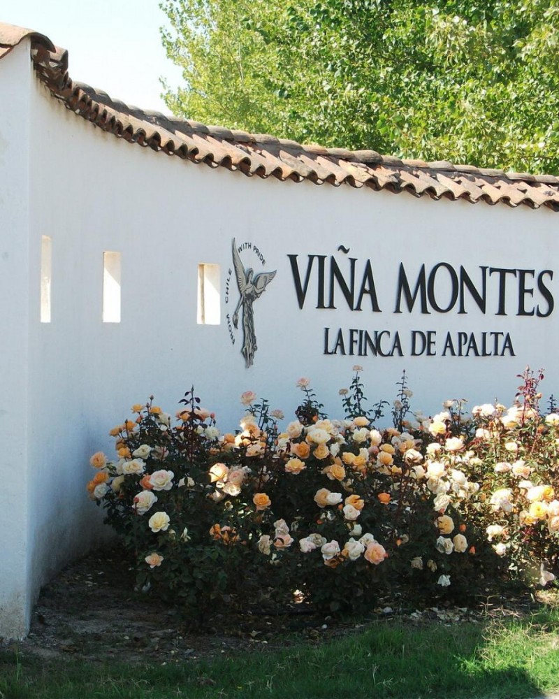 Vinícolas Montes & Lapostolle