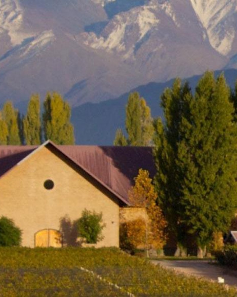  Luján de Cuyo Malbec