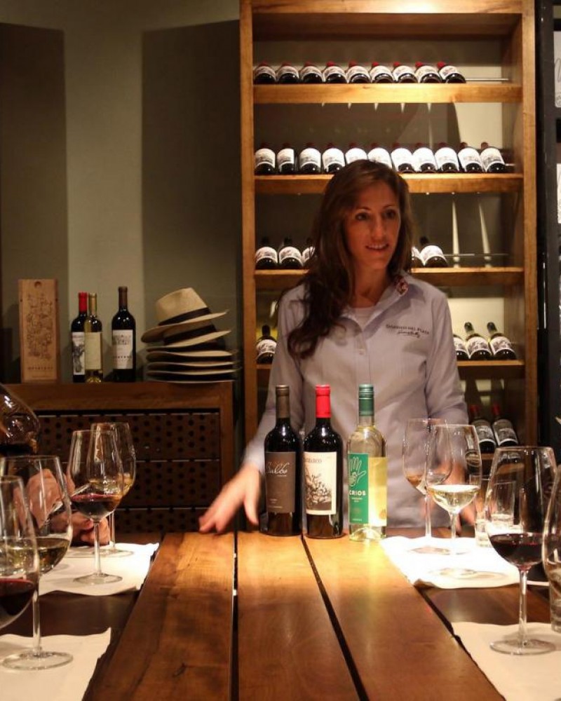  Luján de Cuyo Malbec