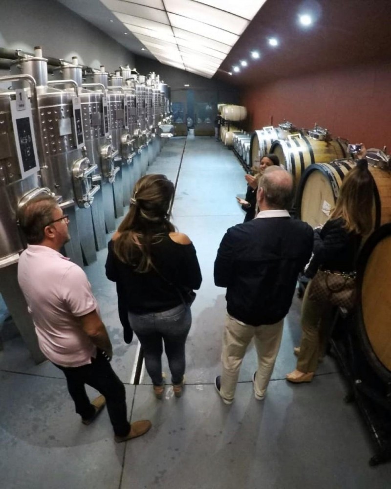 Provando os Sentidos