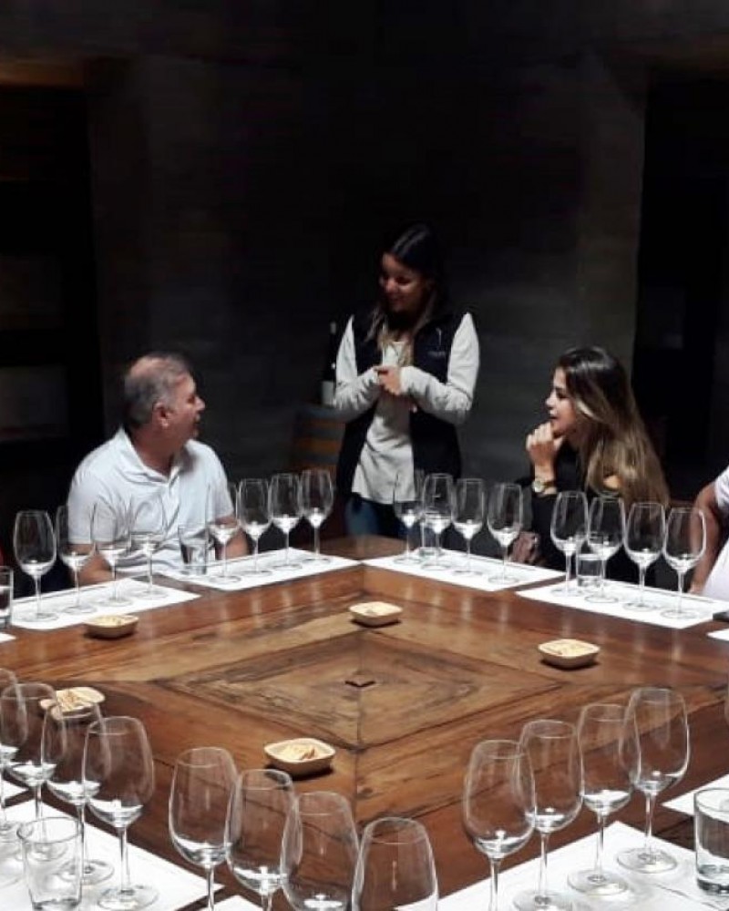 Provando os Sentidos