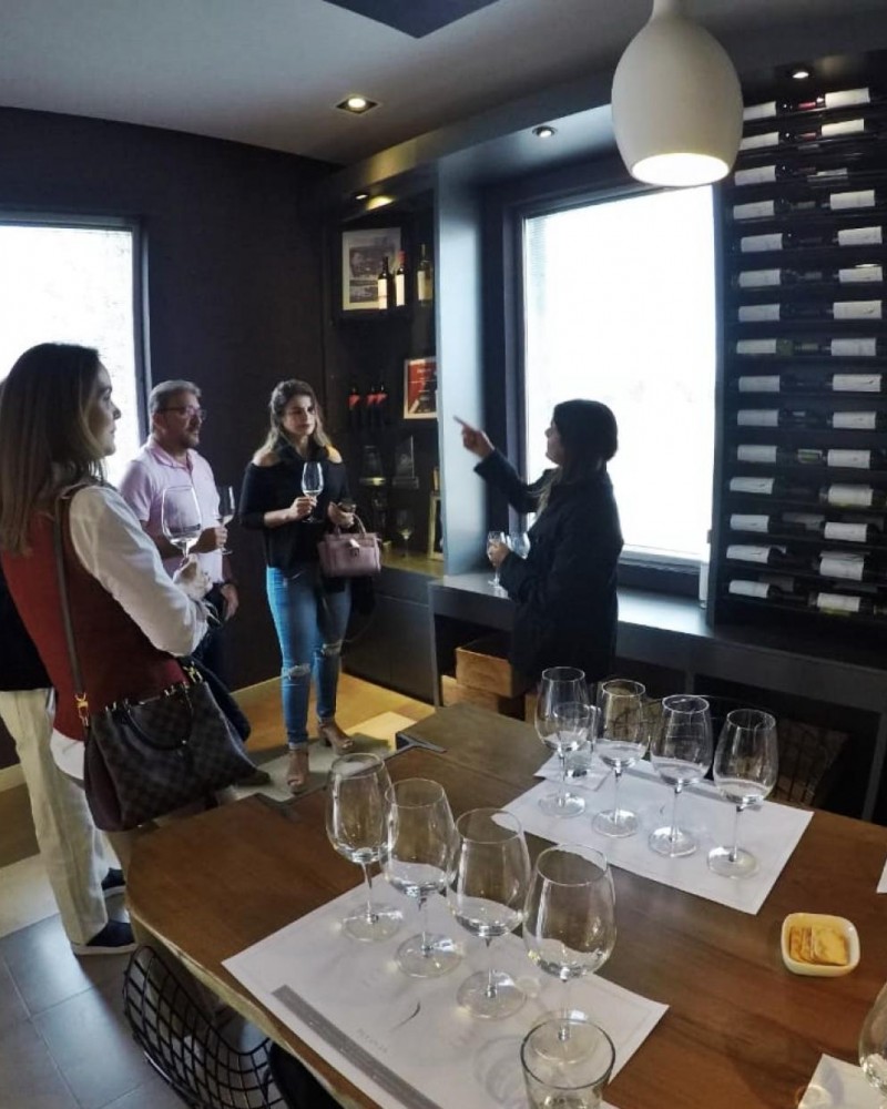 Provando os Sentidos