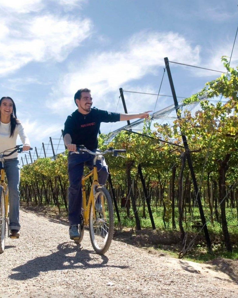 Bikes & Vinhos