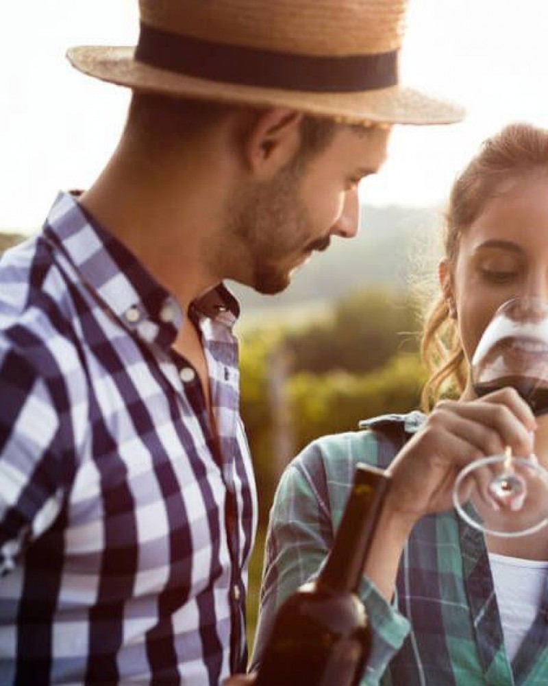 Tour de vinho de meio dia