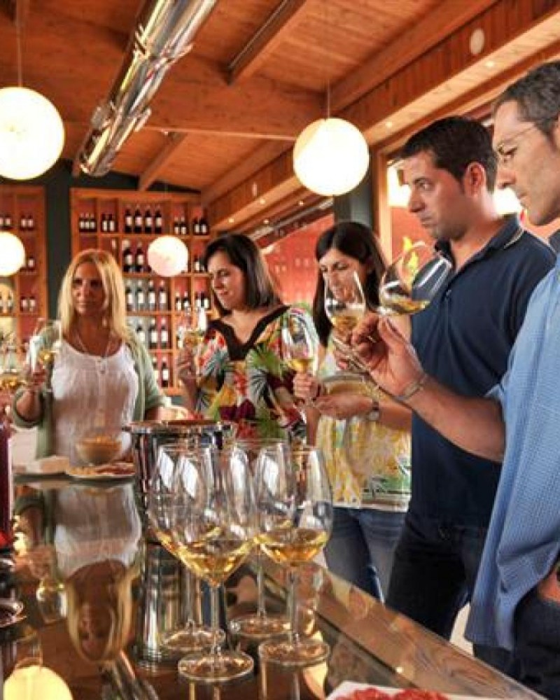 Tour de vinho de meio dia