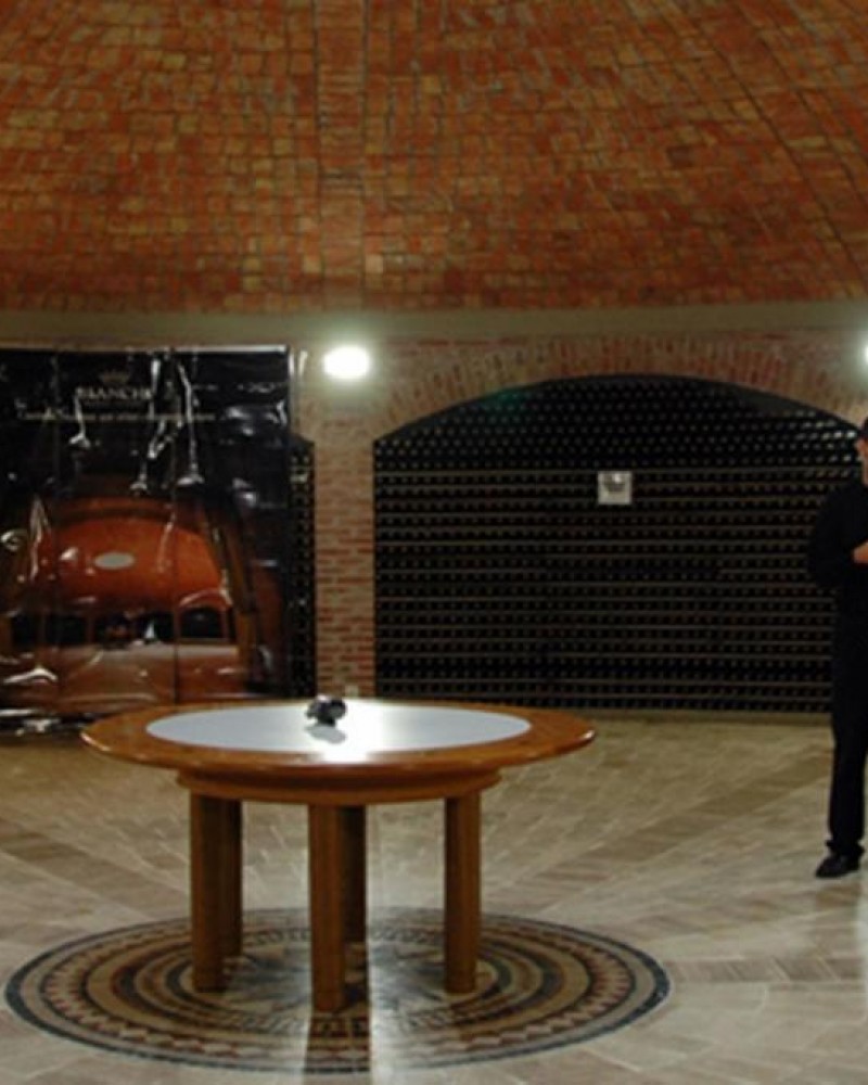 San Rafael Vitivínicola