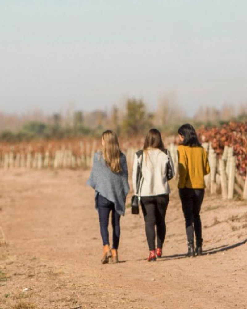 Luján de Cuyo Premium