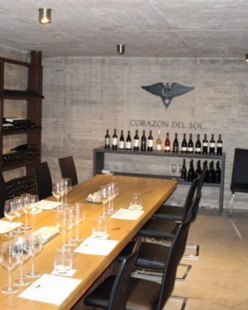 Experiência The Vines