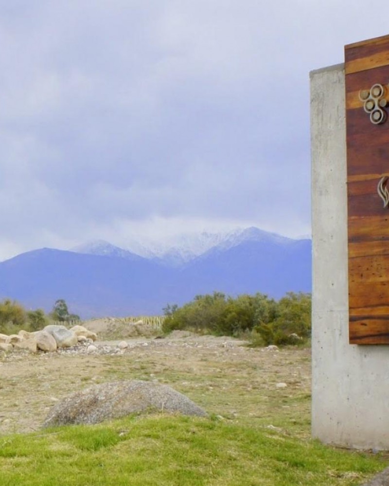 Experiência The Vines