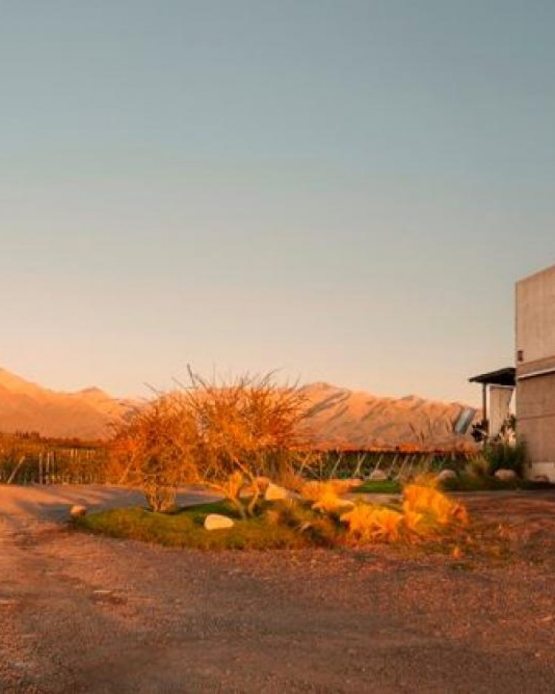 Experiência Gimenez Riili