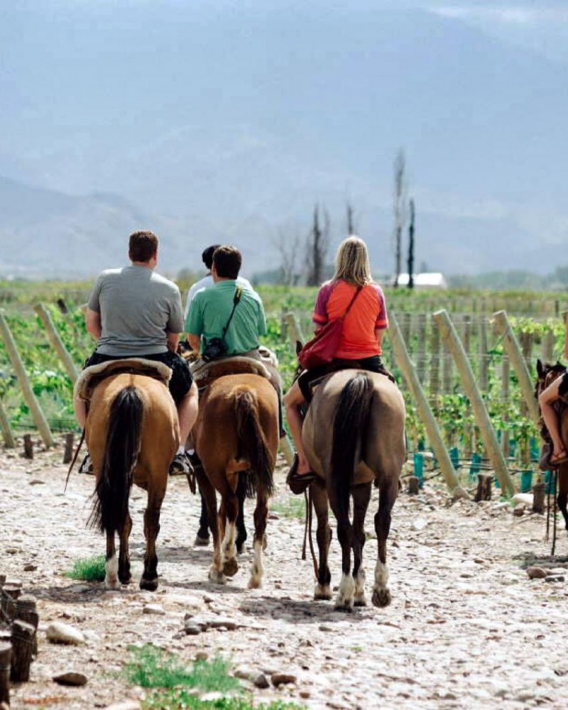 Experiência Gimenez Riili