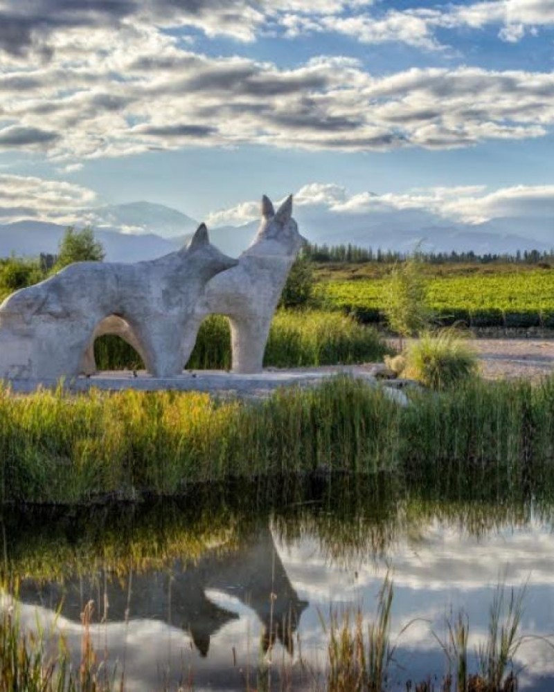 Pôr do Sol no Valle de Uco com Huentala Wines