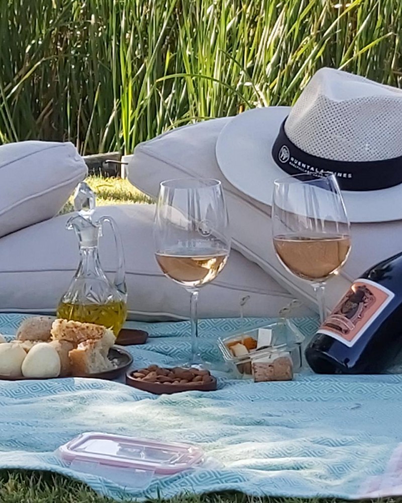 Pôr do Sol no Valle de Uco com Huentala Wines