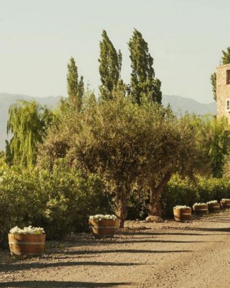 Boda na vinícola Renacer