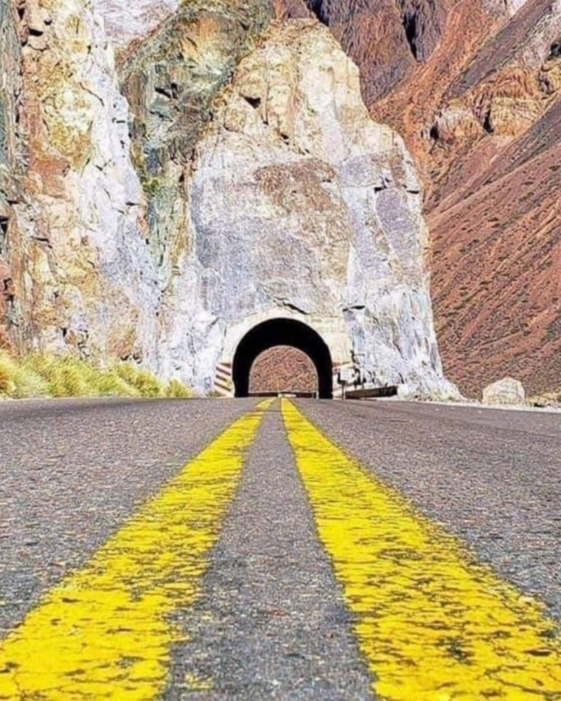 Vindima 2022 em Mendoza